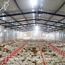 Equipo automático de casa de pollo para la producción de pollo de engorde